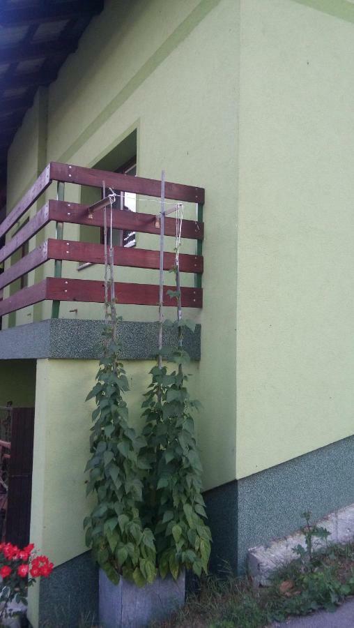 Apartma Juha - Breg pri Borovnici Exterior foto